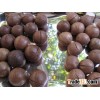 RAW AND DRIED ORGANIC MACADAMIA NUTS