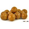Natural Macadamia Nuts for sale from Thailand( Best market Prices)