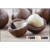 RAW DRIED ORGANIC MACADAMIA NUTS FOR SALE AT BEST PRICES