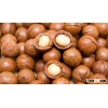Macadamia nuts in shell available for sale
