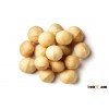 Macadamia Nuts - Raw or Kernels - Small & Large Orders with Free Samples