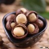 Raw Macadamia Nuts with and without shell - Best Prices