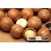 Best Grade Macadamia Nuts with shell
