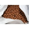 Premium Macadamia Nuts with shelss