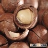 Raw and Roasted Macadamia nuts from Thailand available for sale(Best Prices)