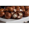 Quality macadamia nuts available for sale at a good market price
