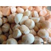 Roasted Peeled Macademia Nuts