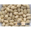 BLANCHED PEANUT KERNELS ,PEANUT IN SHELL