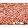 Raw Peanuts Kernel/raw peanut in shell