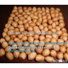 BANGLADESH PEANUT KERNEL
