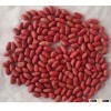 Peanut Kernels / Dry roasted peanut / Peanuts kernels long type / BLACHED PEANUTS
