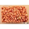 Peanut Seed