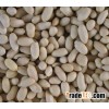 blanched peanut kernel