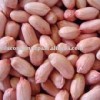 Groundnut Kernel