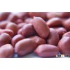 Grade AAA quality Red Skin Peanuts Available!