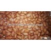 BOLD PEANUTS 50/60