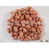 Peanut Kernels