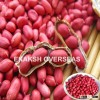 Manufacturers of indian peanuts seeds