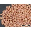 peanut kernel