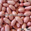 Raw Peanut Kernels