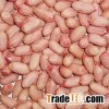 raw peanuts kernels
