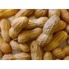 Raw Peanuts for sale