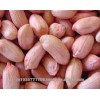 Peanut/Groundnut Grade A GRADE a FOR SALE HOT SALES