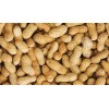Cheap shandong roasted peanuts in shell