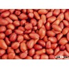 BOLD AND JAVA PEANUT