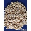 Wholesale peanuts raw peanuts price and blanched peanuts kernel