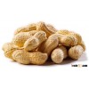 Washed groundnut in shells