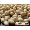 blanched peanuts