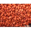 Red skin peanuts / Blanched peanut kernels / Roasted and salted Redskin peanuts