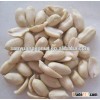 2015 new crop blanched peanut kernels from shandong peanuts plant