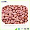 Chinese peanut/groundnut