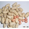 Raw peanuts in shell