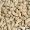 Roasted Virginia Peanuts (Unsalted, No Shell)