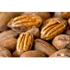 pecan seeds and other organic seeds for sale