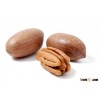 Pecan nuts