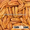 High Quality Pecan Nuts