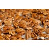 Pecan Nuts in shell, Pecan nuts Best Price