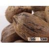 Organic Pecan nut in shell for cheap price