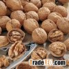 American Walnut