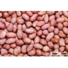 Peanuts Jumbo Peanuts Available!!