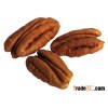 Raw blanched pecans nuts