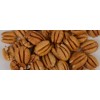 Raw blanched pecans nuts
