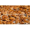 Pecan Nuts and Shelled Pecan Nuts for sales for sale