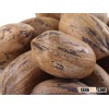 Organic Pecan Nuts