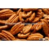 High Quality Pecan Nuts