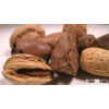 Top Quality Organic Pecan Nuts(Raw,-No Shell)